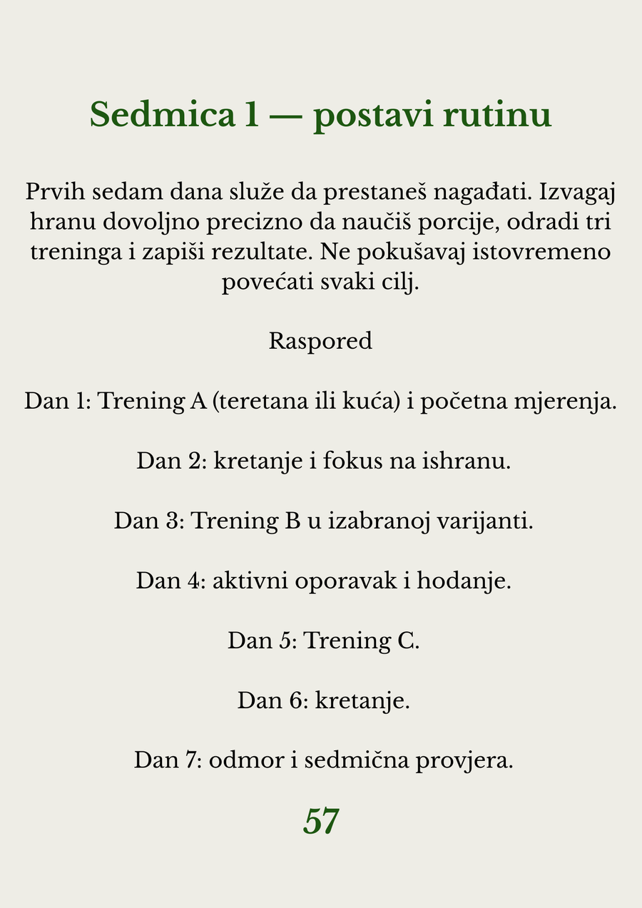 Plan po danima